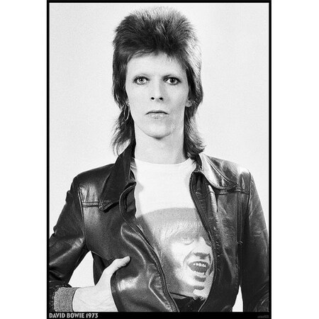 Toyopia David Bowie Jones T Brian Jones T-Shirt Poster Print44; 24 x 36